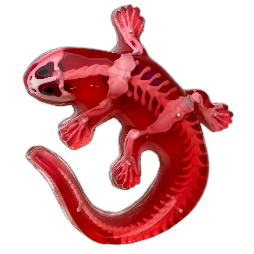 Dissect-It: Salamander Lab
