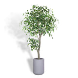 Artificial Ficus Tree with Artisan Planter