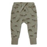 Organic Kimono Onesie & Pants Set - Dino
