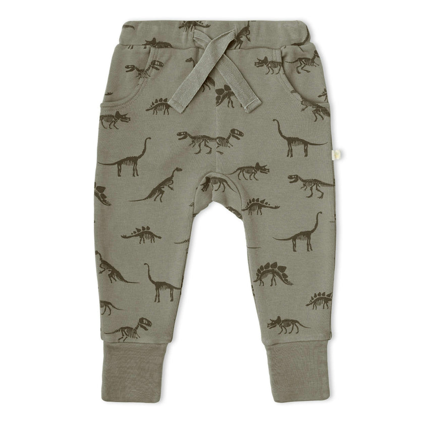 Organic Kimono Onesie & Pants Set - Dino