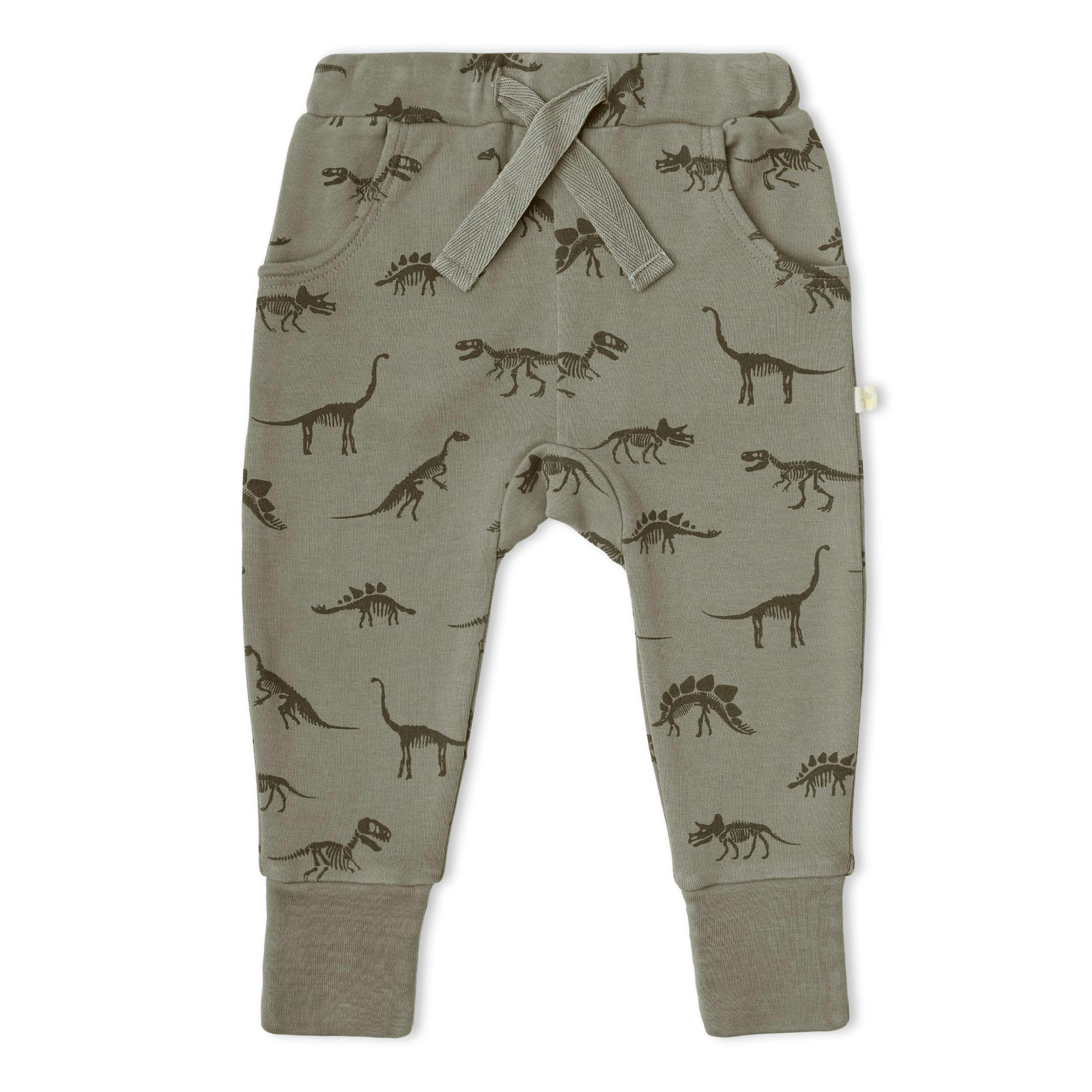 Organic Kimono Onesie & Pants Set - Dino