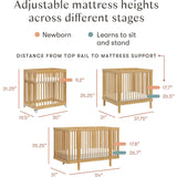 Pogo 8-in-1 Convertible Crib with All-Stages Conversion Kits in Honey