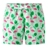 Flamingo Swim Trunks