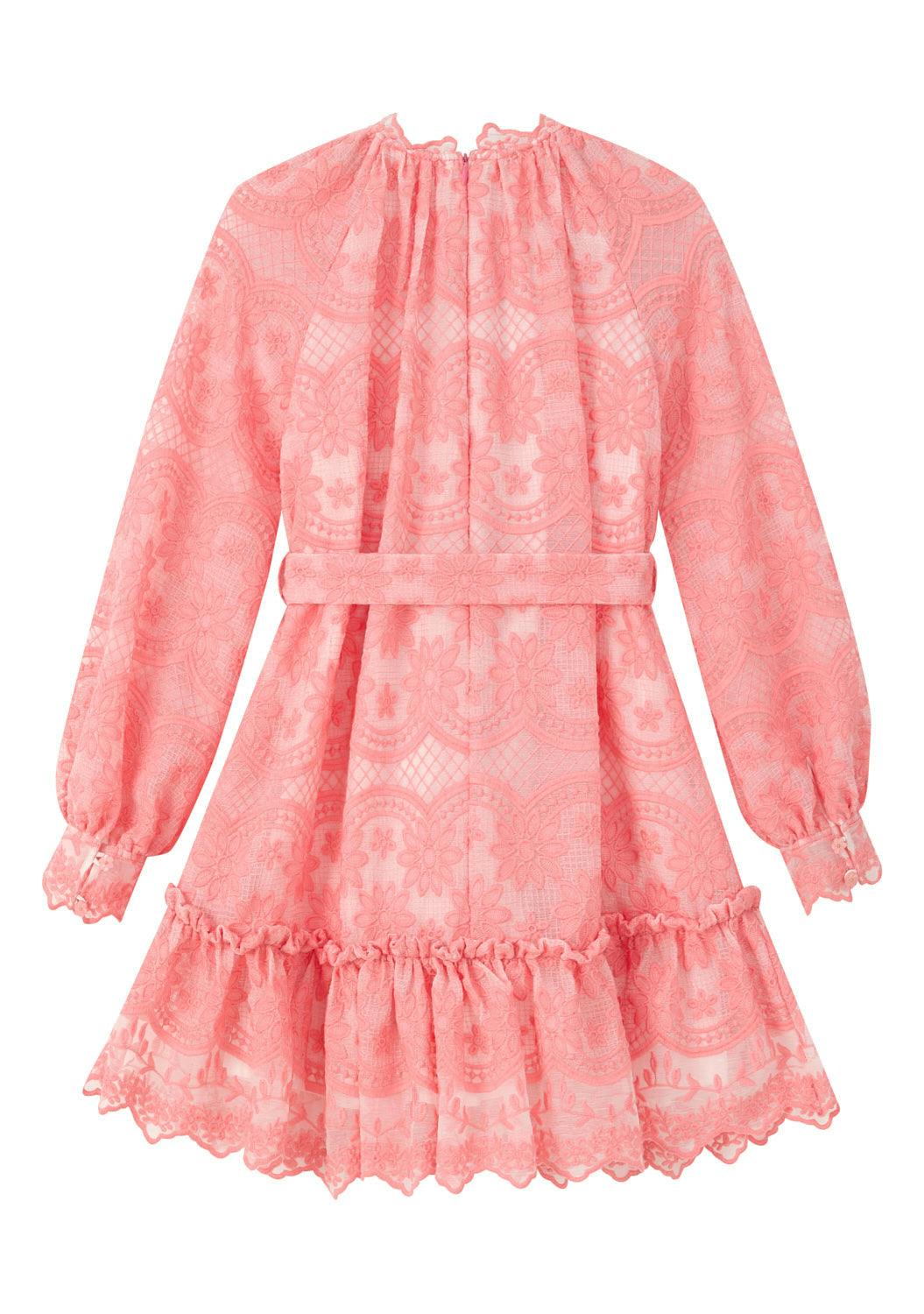 Kaia Lace Embroidered Mini Dress