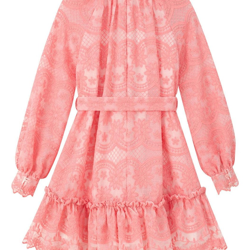Kaia Lace Embroidered Mini Dress