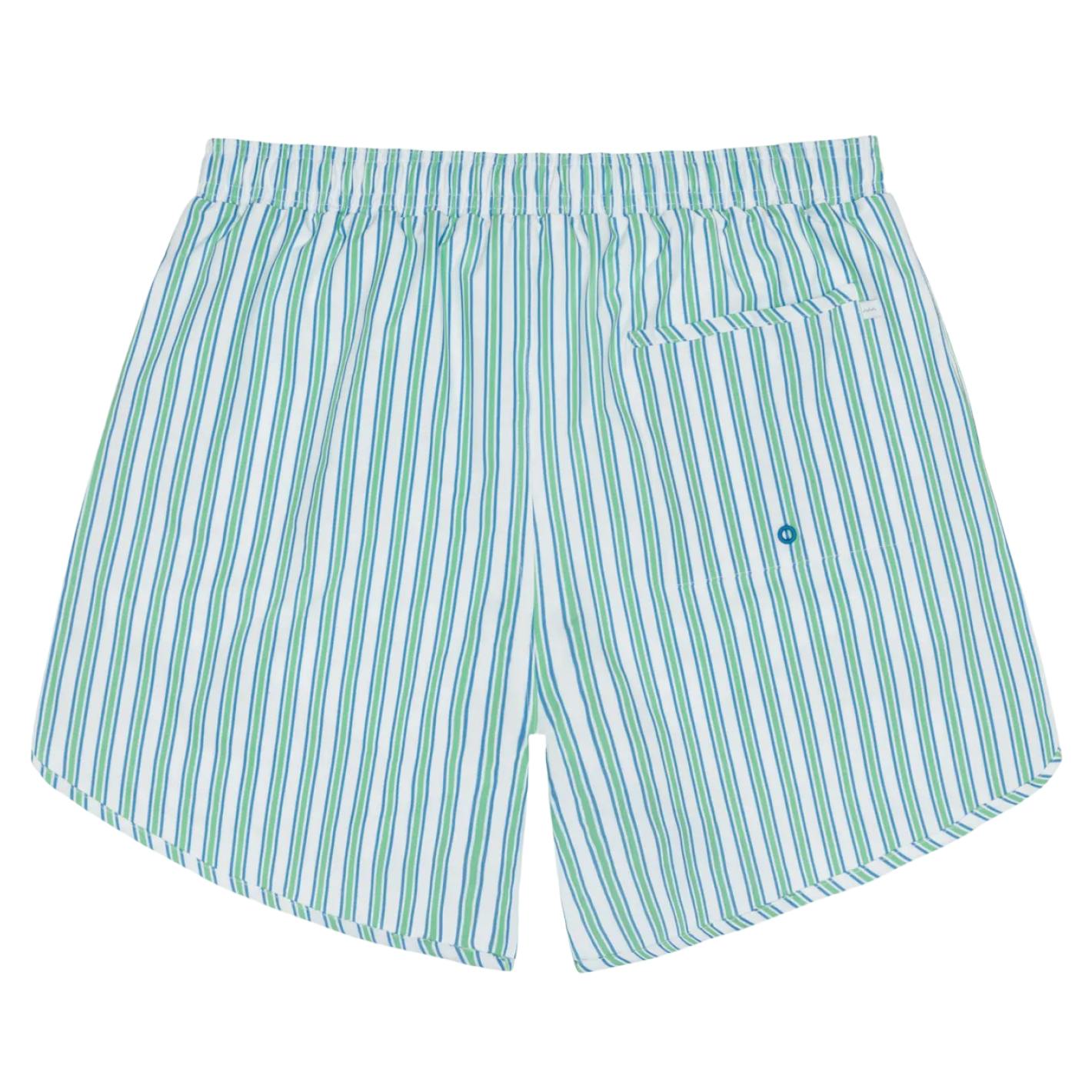men's tamarin stripe boardie