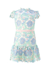 Addison Embroidered Mini Dress