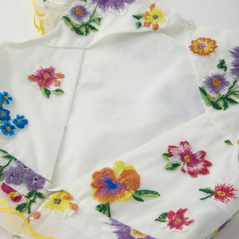 Carly Embroidered Mini Dress