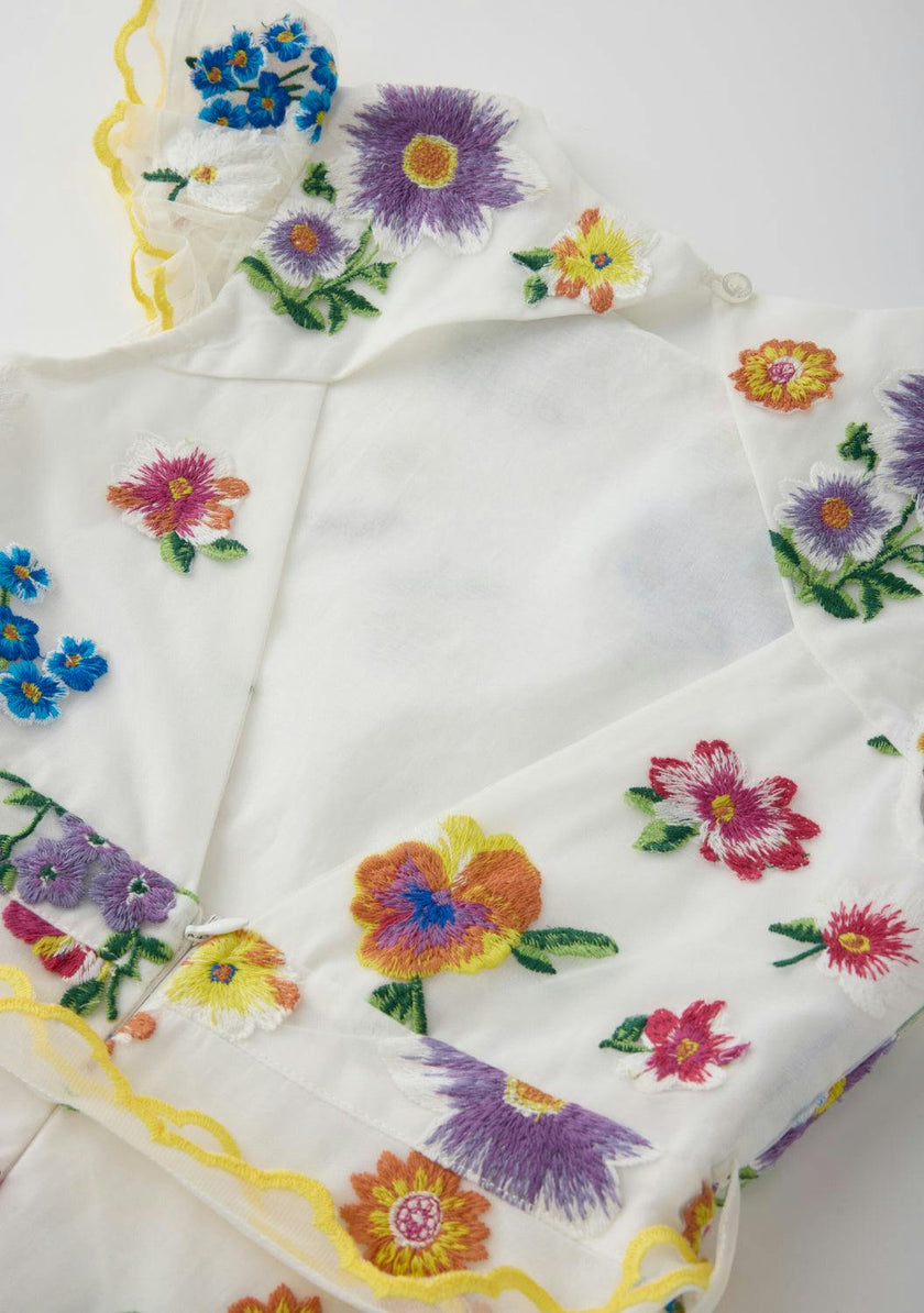 Carly Embroidered Mini Dress