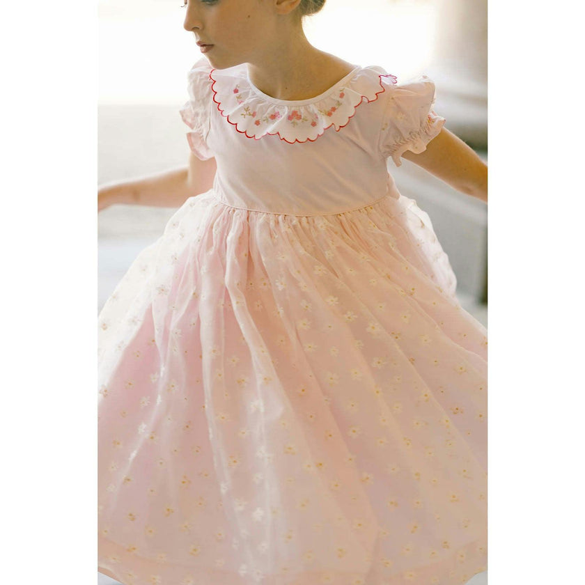 Cordelia Pink Dress with Tulle