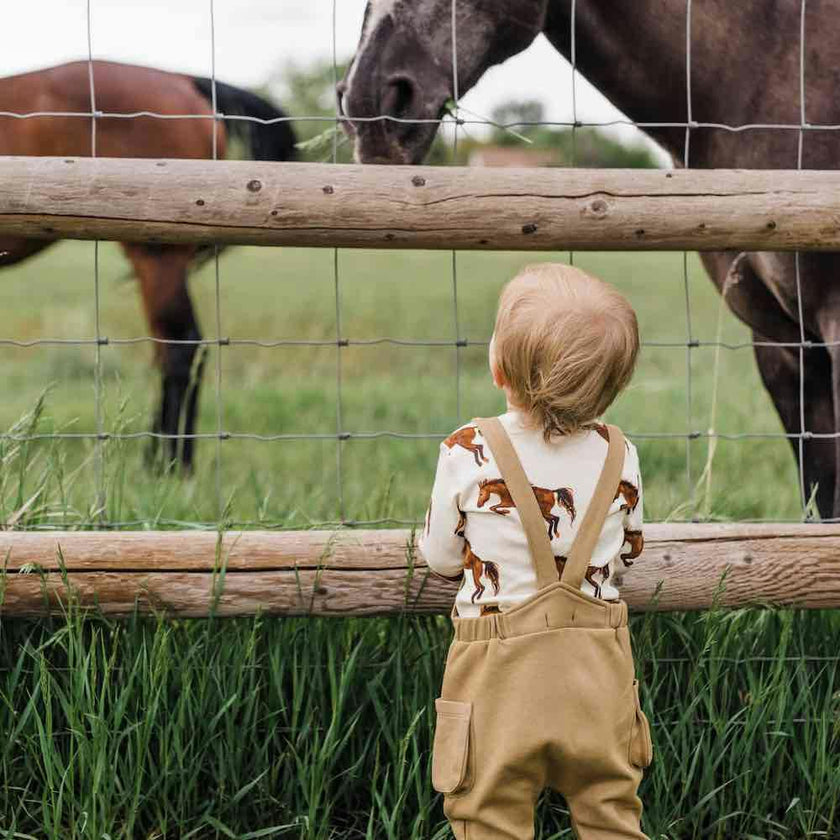 Rust Pinstripe Classic Overall