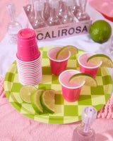 Fiesta Plates - 24 paper plates