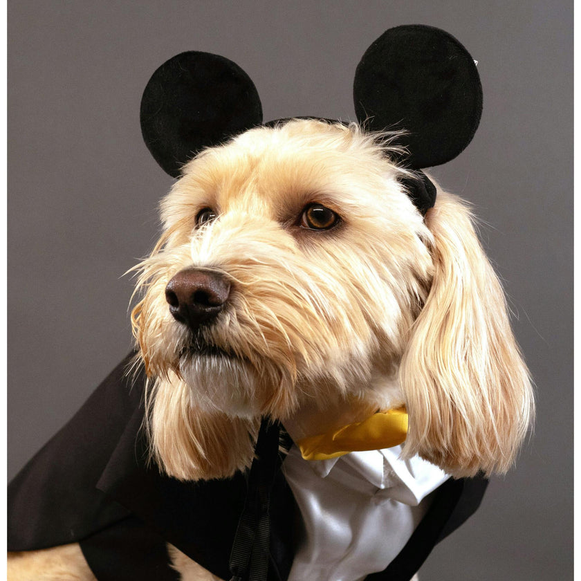 Disney Mickey Ears Head Accessory