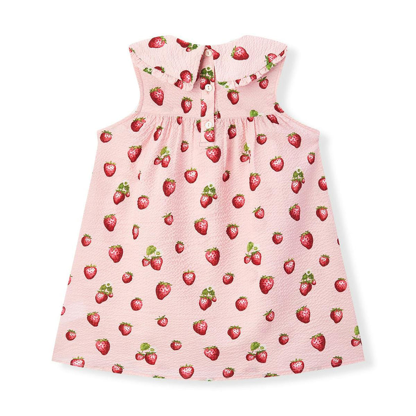 Strawberry Ruffle Collar Dress
