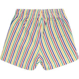 Fun Stripe Mini Swim Trunk