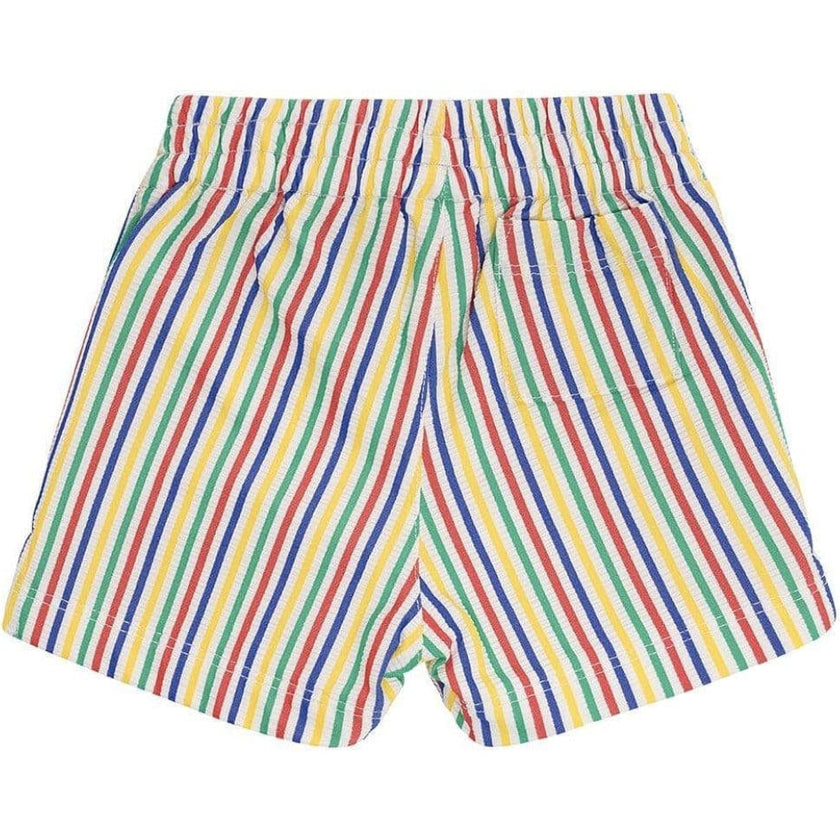 Fun Stripe Mini Swim Trunk