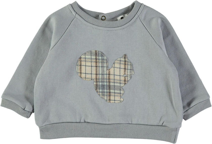 Sweat shirt bébé écureuil