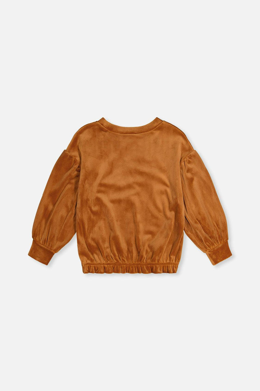 Velvet Top Brown