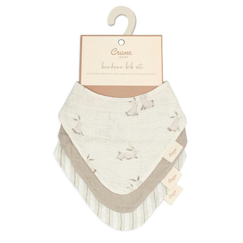 Avery Bunny Cotton Bandana Baby Bib (3 Pack)