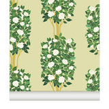 Papier peint CAMÉLIAS coloris Verveine