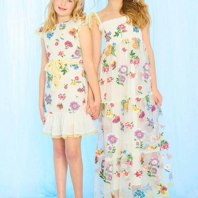 Carly Embroidered Mini Dress