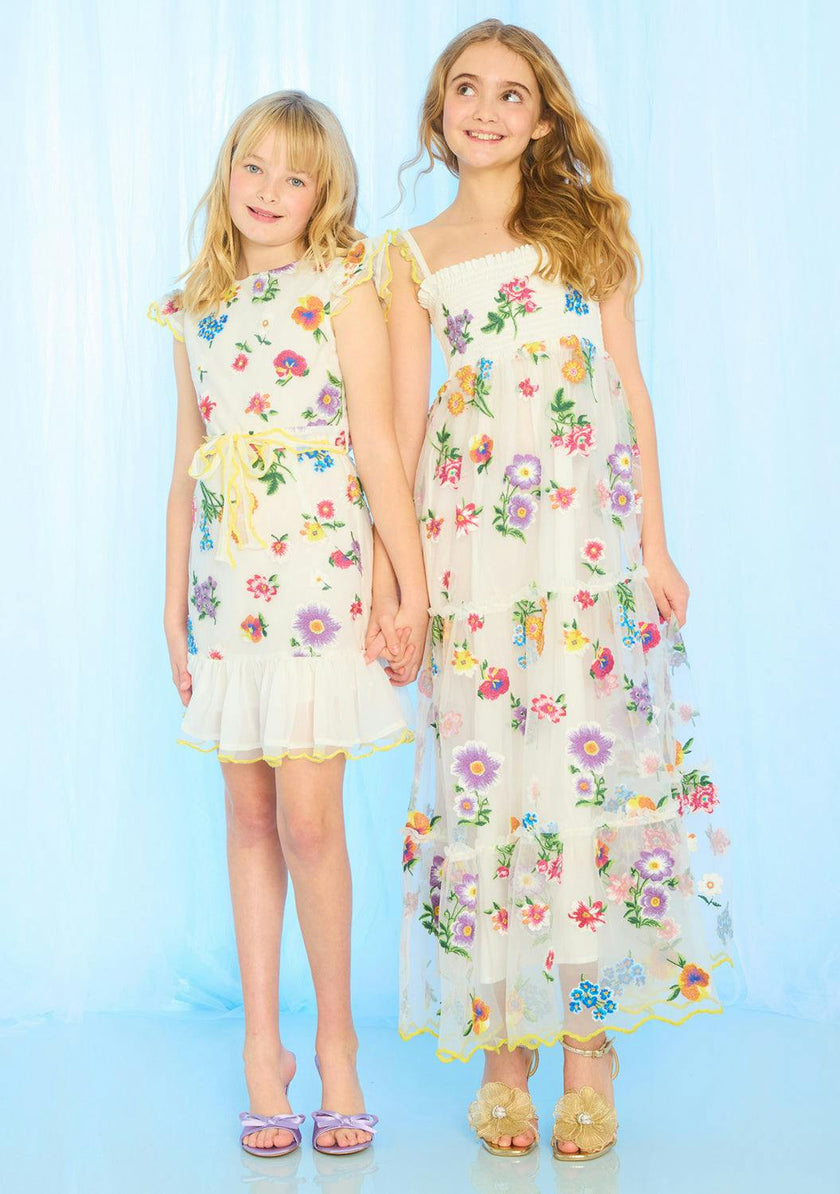 Carly Embroidered Mini Dress