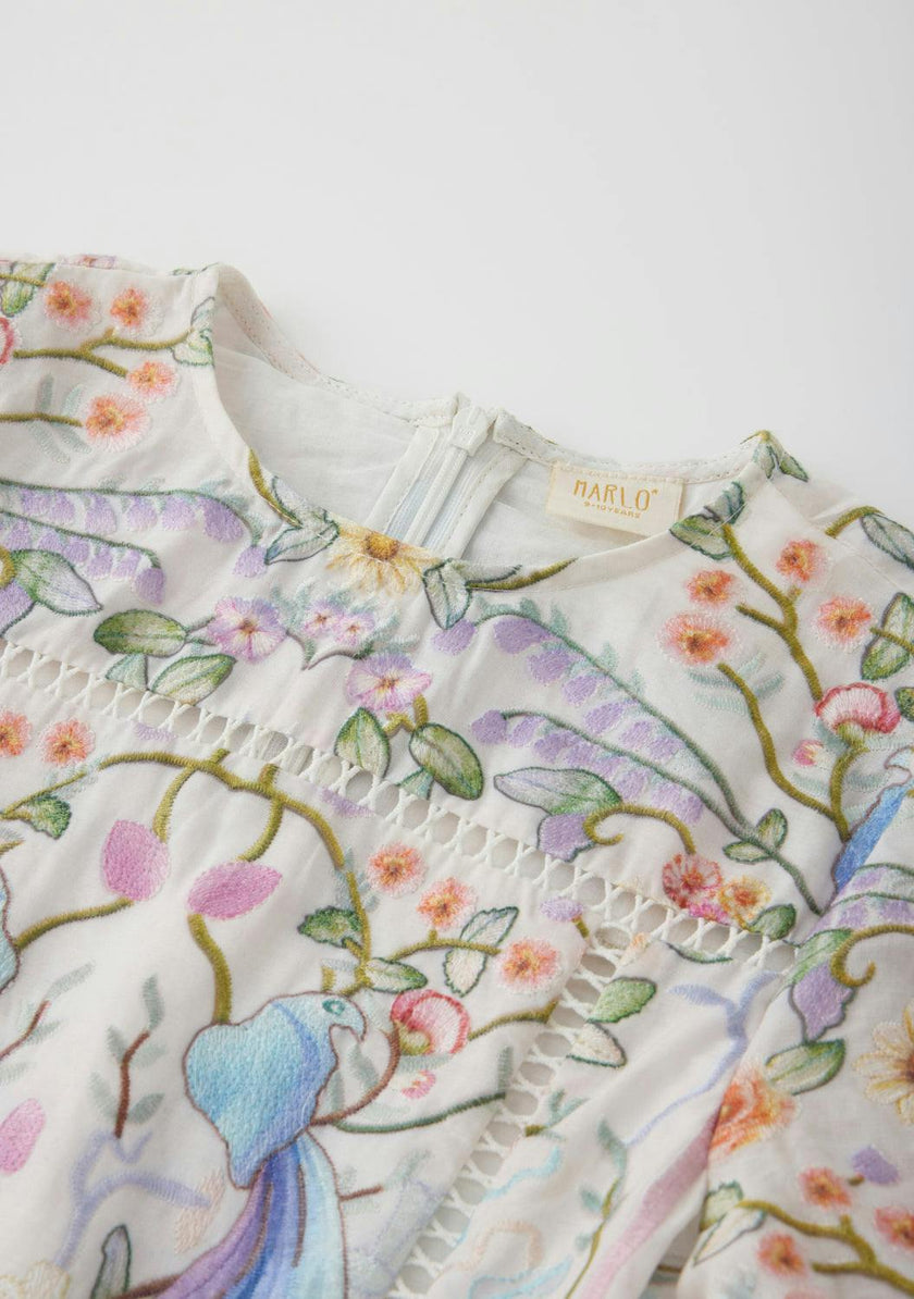 Tatiana Embroidered Mini Dress