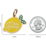 Main Squeeze Pet ID Tag