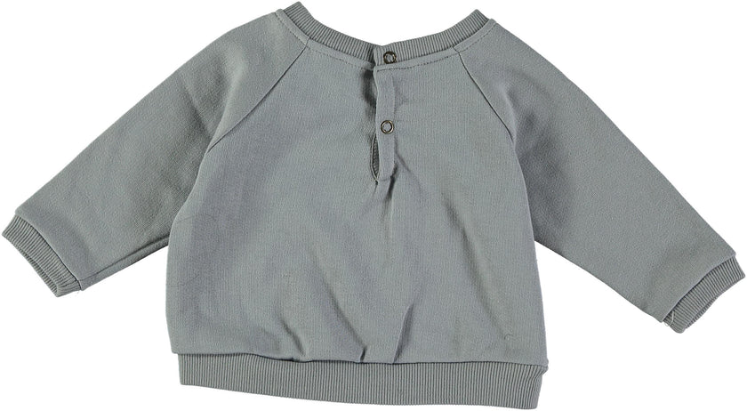 Sweat shirt bébé écureuil