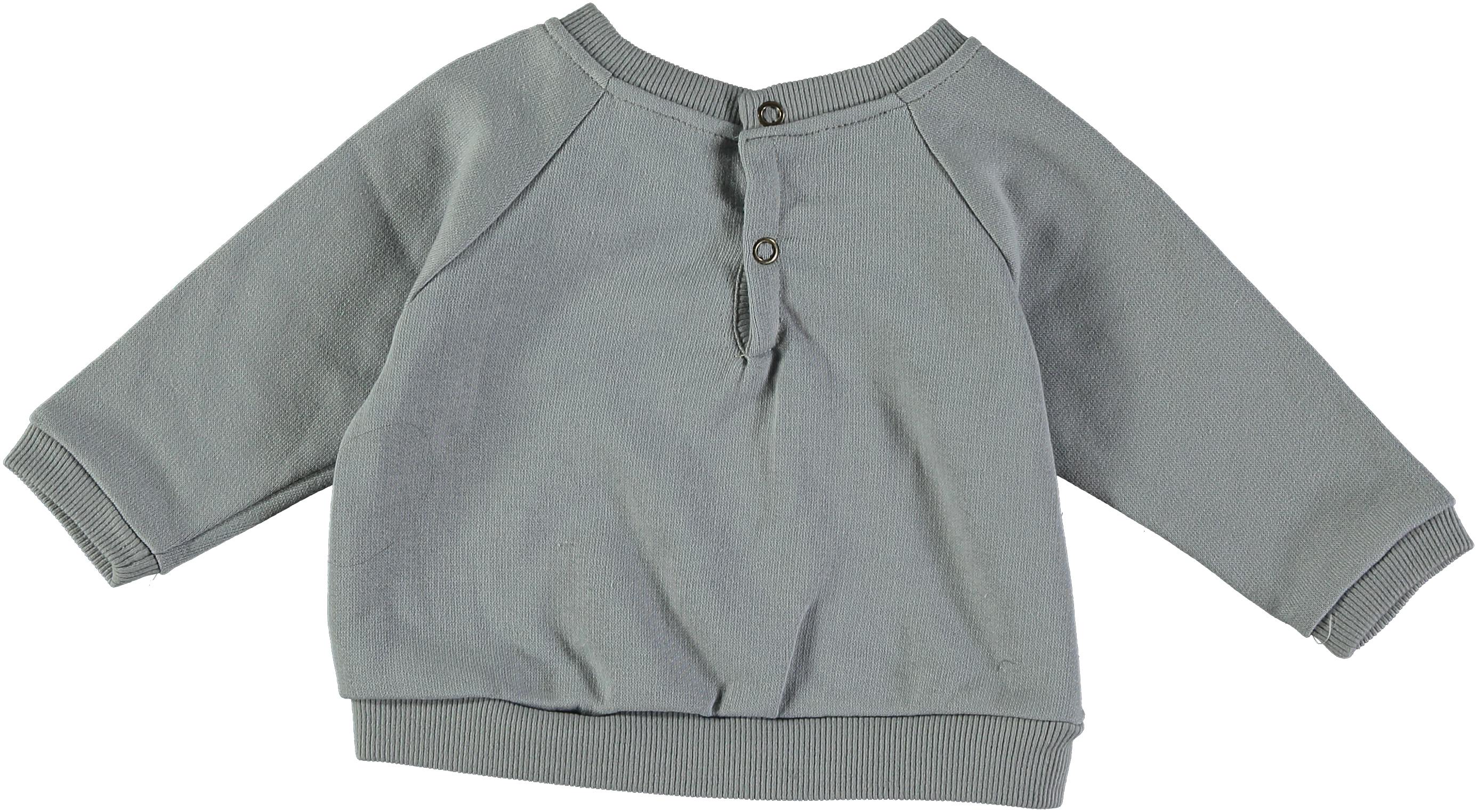 Sweat shirt bébé écureuil