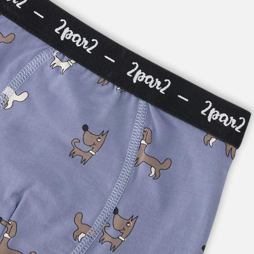 Organic Cotton Boxer Blue Print