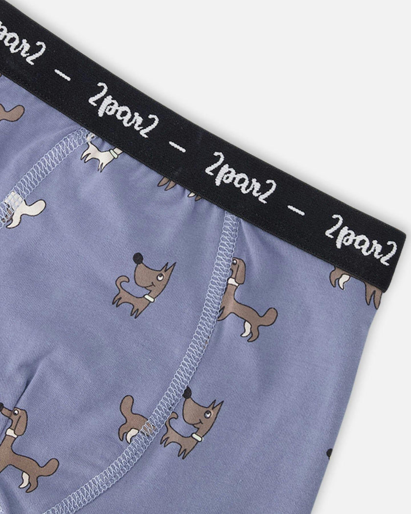 Organic Cotton Boxer Blue Print