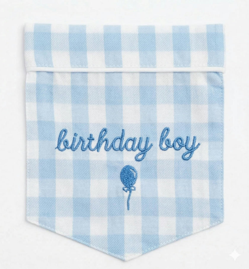 Kid's Twill Blue Gingham Pajama 'Birthday Boy'