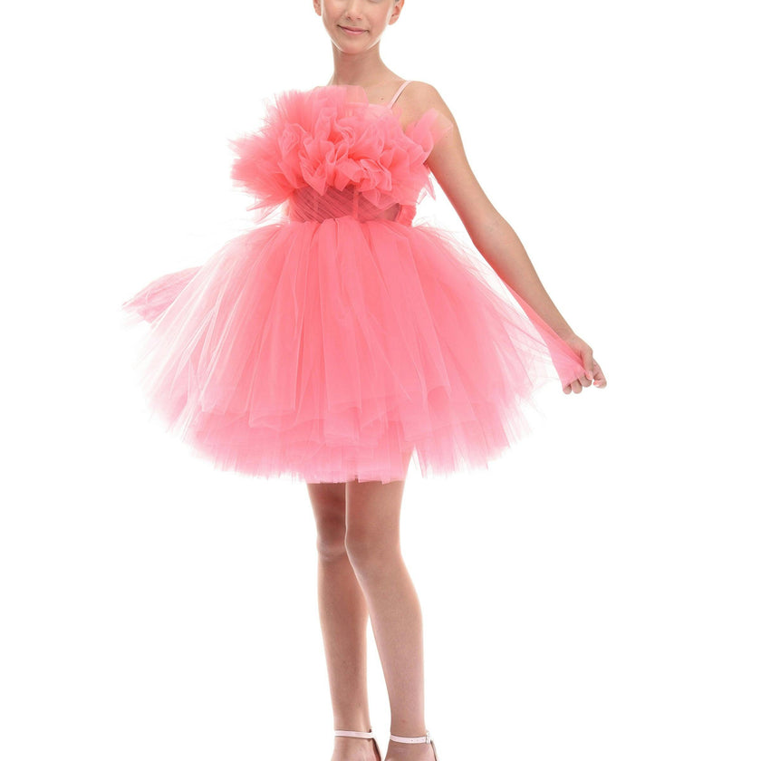 Pink Ruffle Scalleta Dress