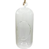 Glass Terrarium: Carefree Capsule