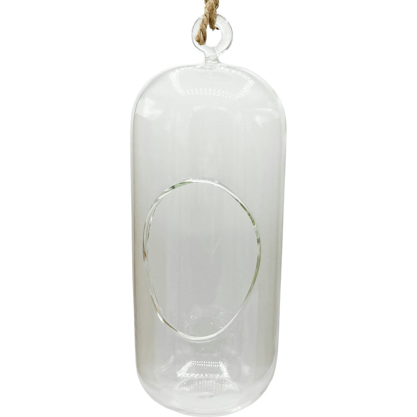 Glass Terrarium: Carefree Capsule