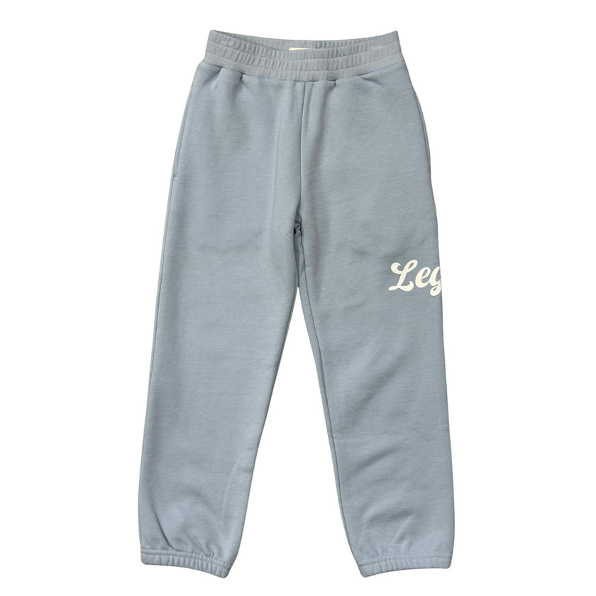 Boys Dario Graphic Sweatpants in Legend in Blue Fog