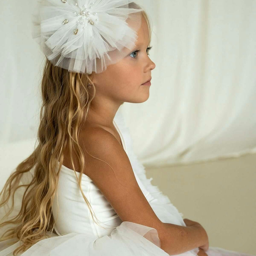 Fairy Hair Clip