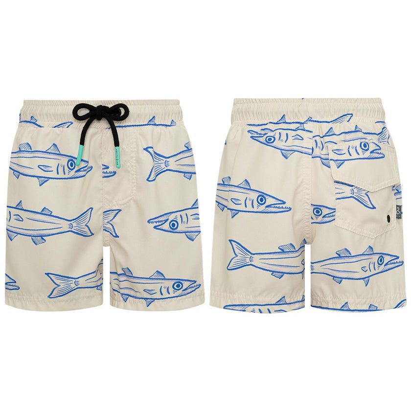BARRACUDA ARENA - SWIMSHORTS
