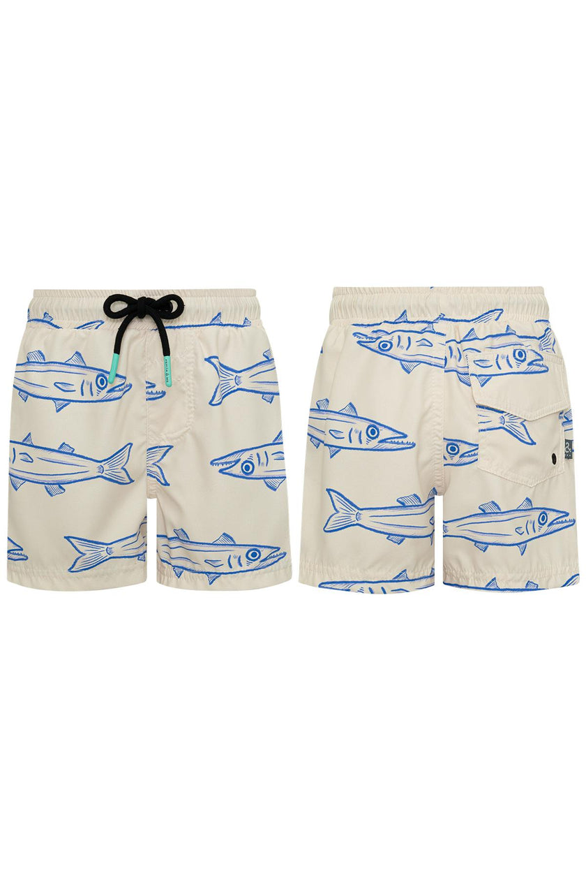 BARRACUDA ARENA - SWIMSHORTS