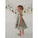 Baby Girl Flutter Dress Set