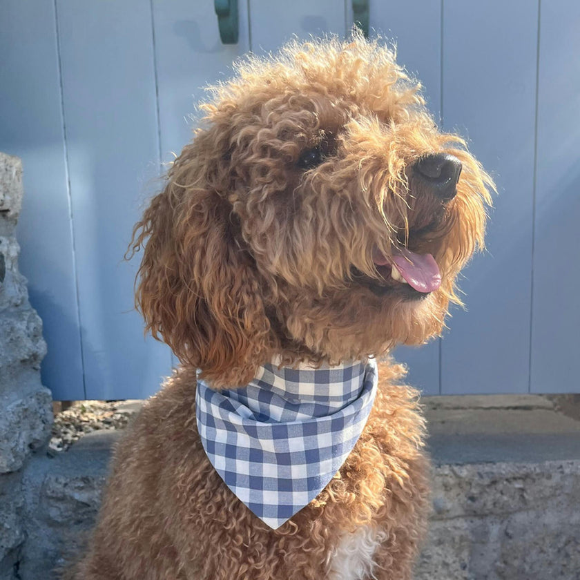 Bandana, Blue