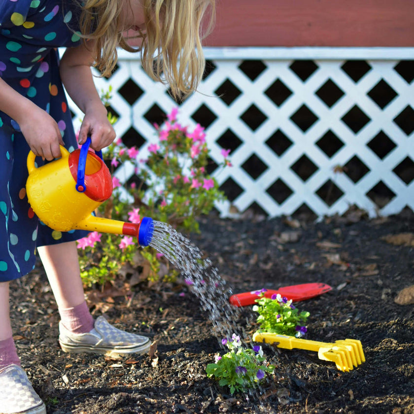Let's Grow Gardening Bundle