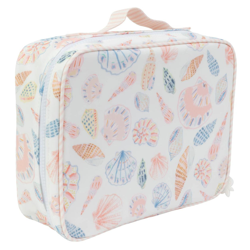 The Lunchbox in Shells
