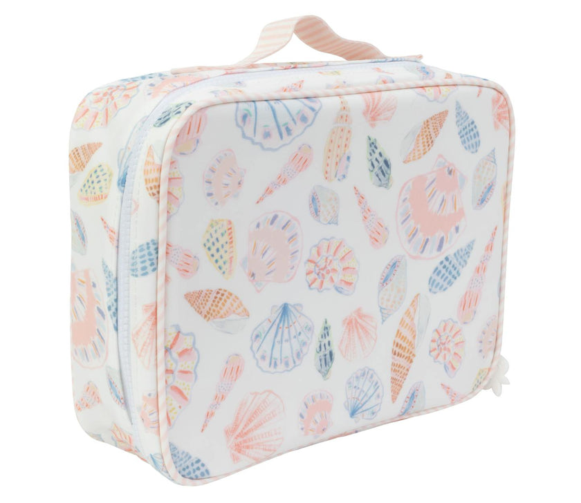 The Lunchbox in Shells