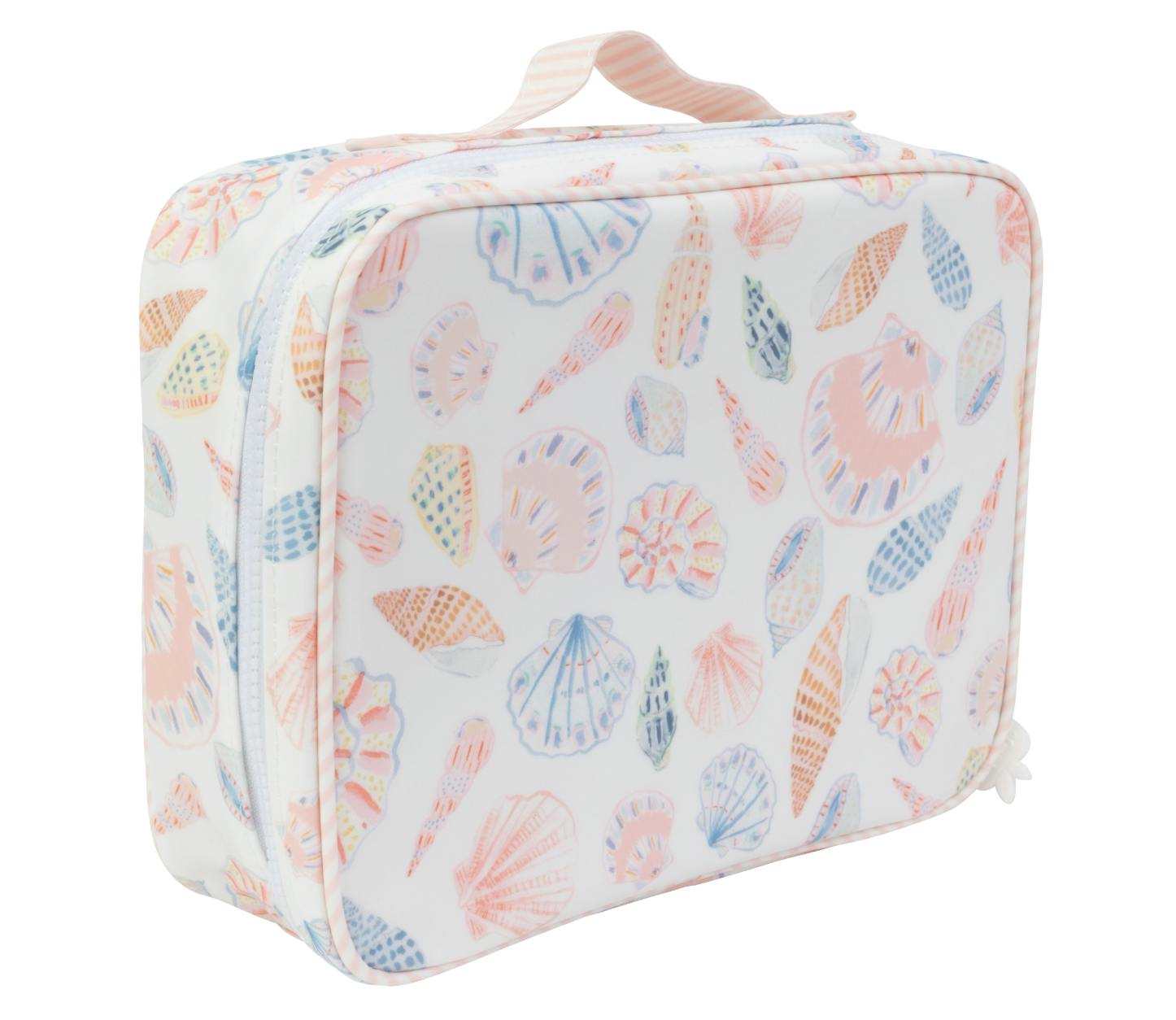 The Lunchbox in Shells