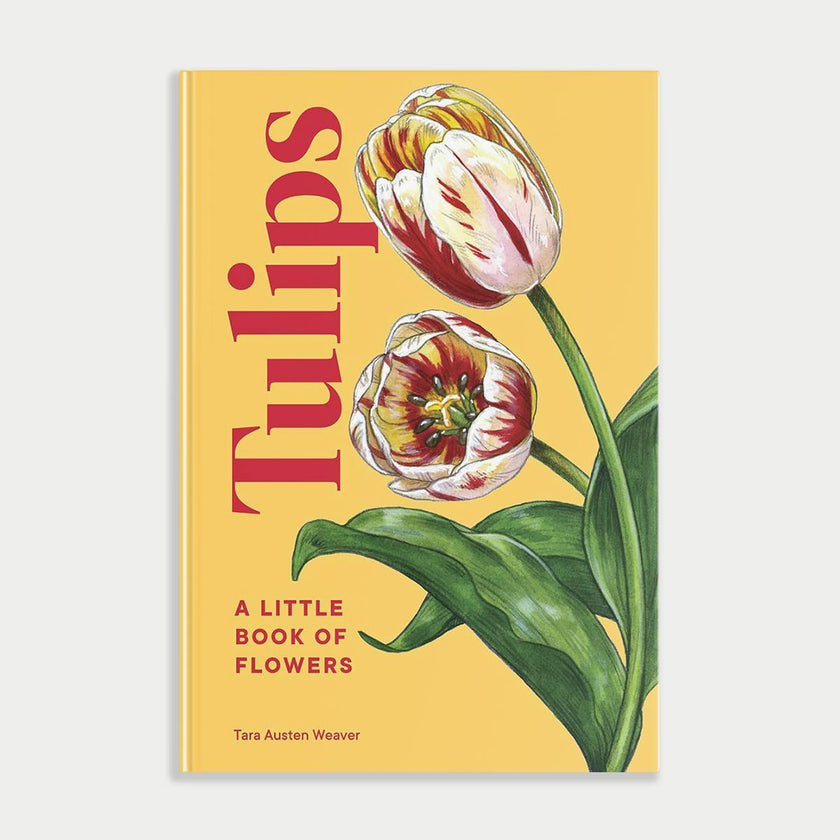 Little Book of Tulips