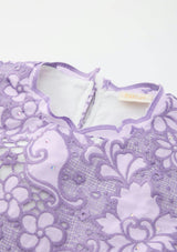 Emmelina Embroidery Mini Dress