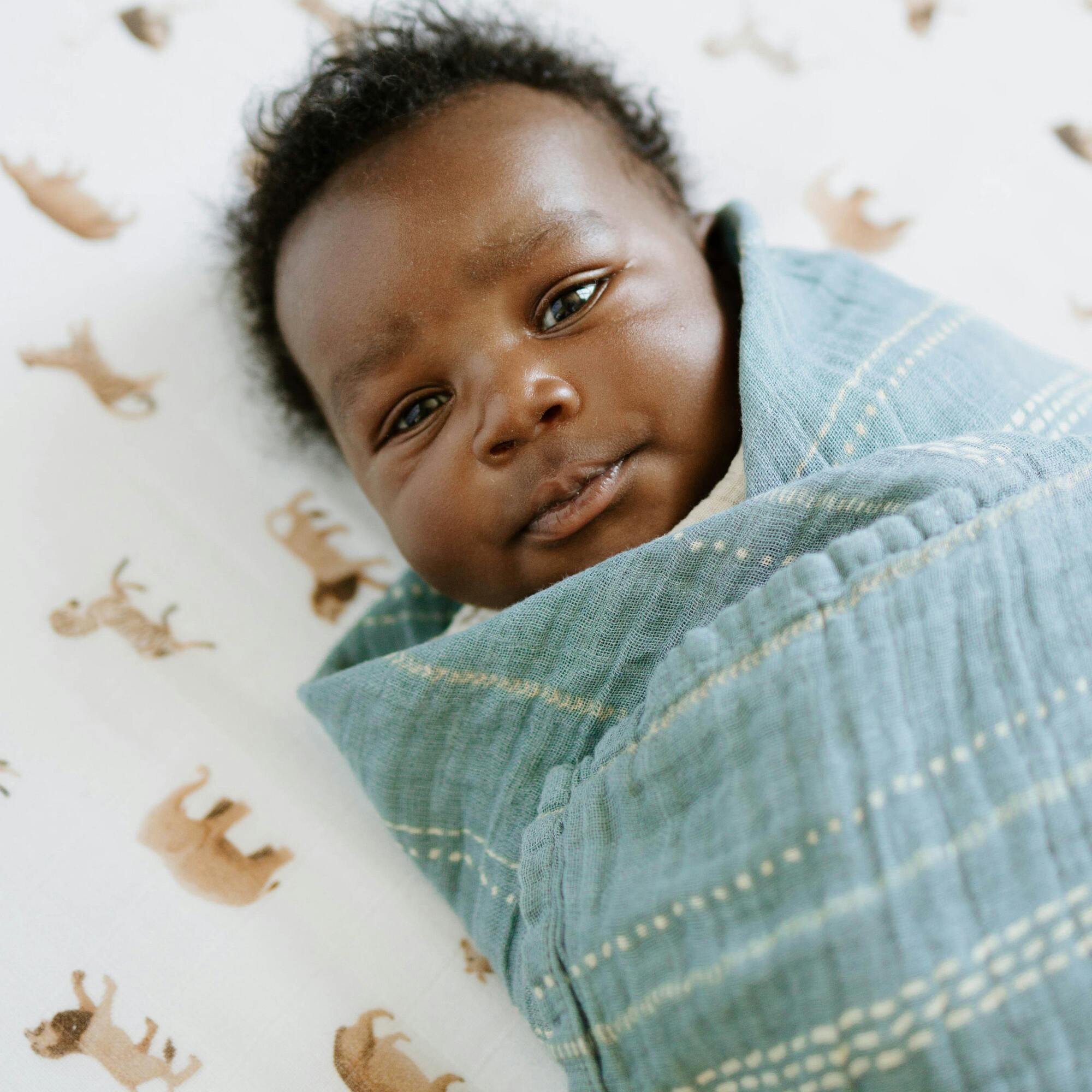 Organic Cotton Muslin Swaddle Blanket 2 Pack - White