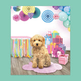 Panorama Sticker Book: Cute Animals